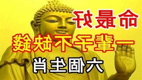 缺錢命|天生富貴命，人生不缺錢 